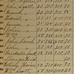 1860 Ag Census